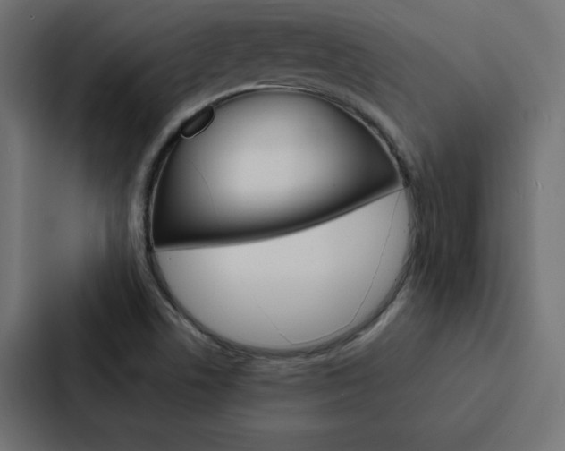 X0000088191506200705150949