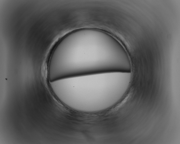 X0000088191509200705150949