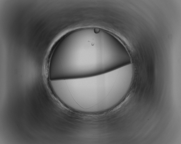 X0000088191510200705150949