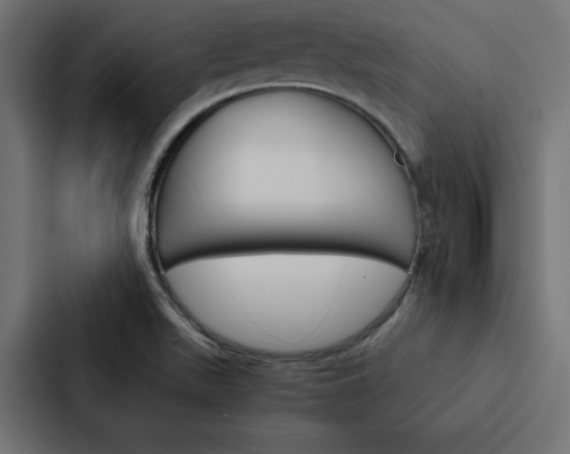 X0000088191511200705150949