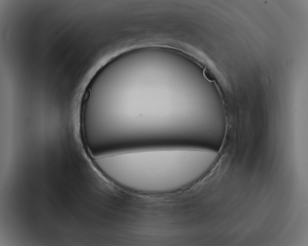 X0000088191512200705150949