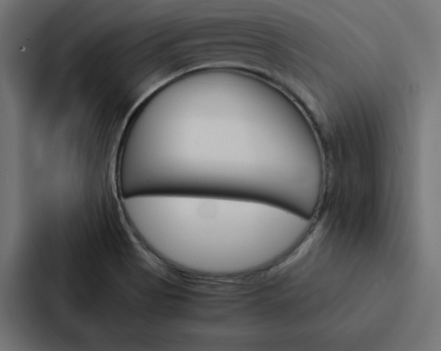 X0000088191513200705150949