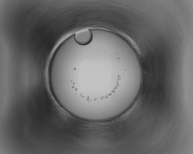 X0000088191514200705150949
