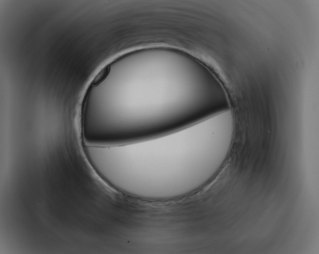 X0000088191516200705150949