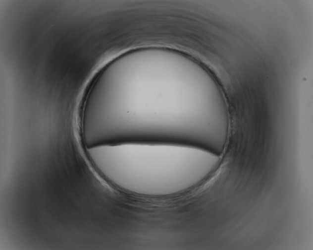 X0000088191517200705150949