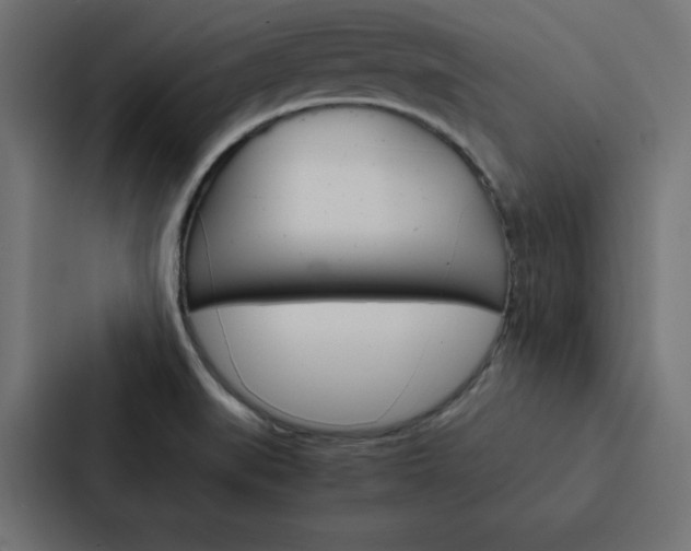 X0000088191519200705150949