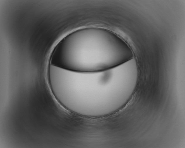 X0000088191520200705150949