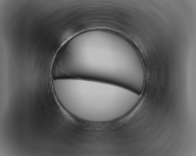 X0000088191521200705150949