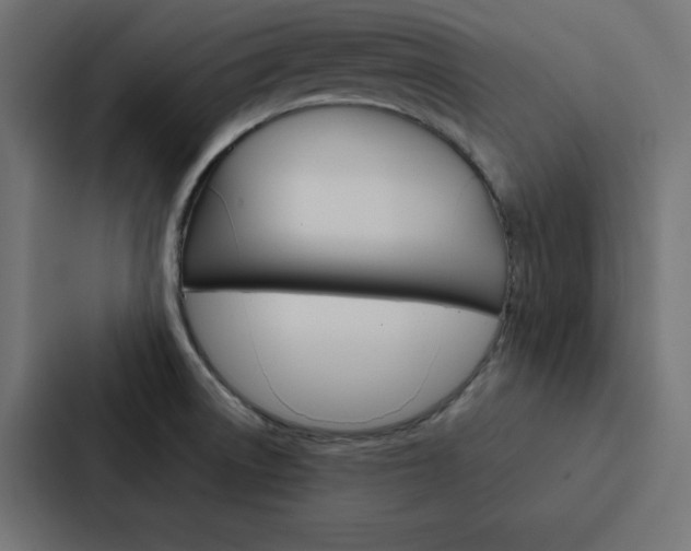 X0000088191522200705150949