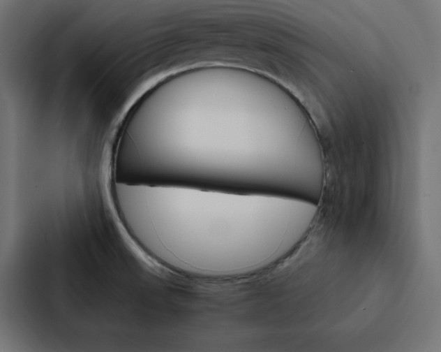 X0000088191523200705150949