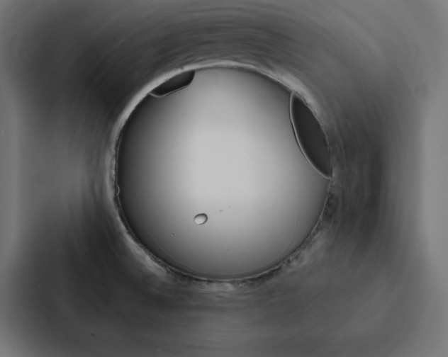X0000088191524200705150949