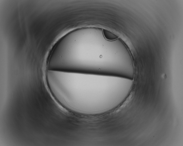 X0000088191525200705150949