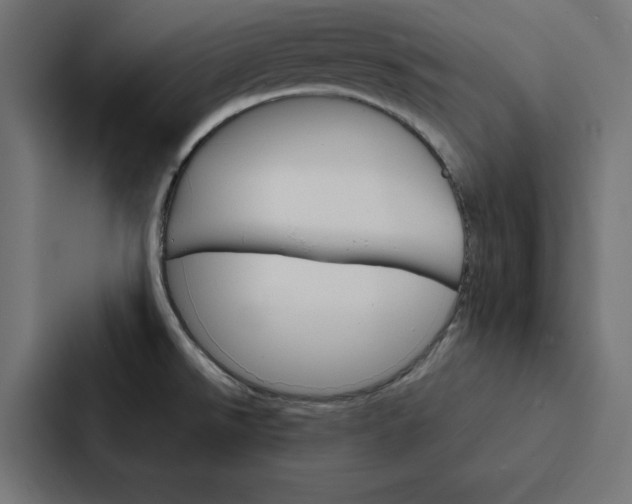 X0000088191526200705150949