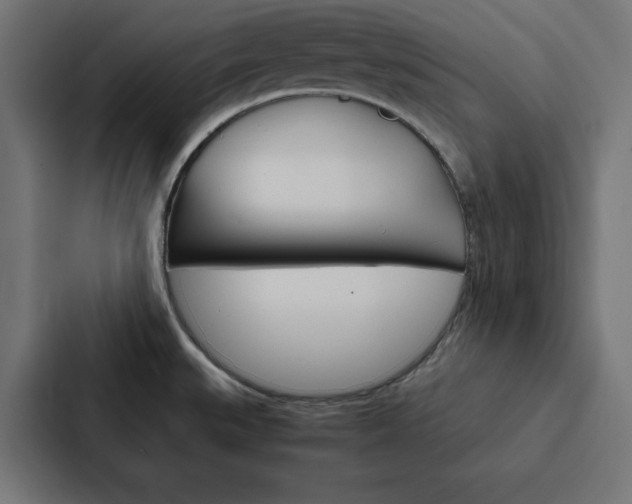 X0000088191527200705150949