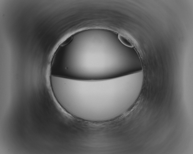 X0000088191528200705150949