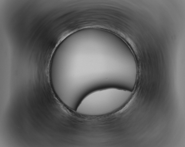X0000088191529200705150949