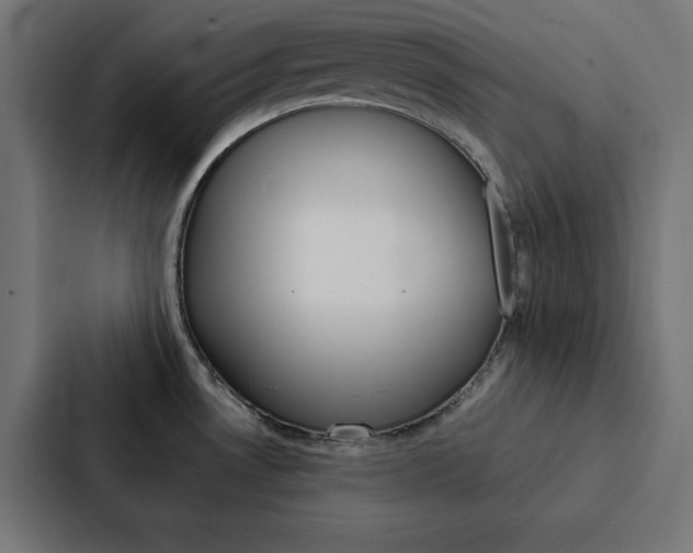 X0000088191530200705150949
