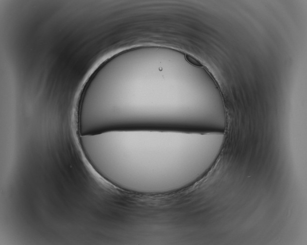 X0000088191531200705150949