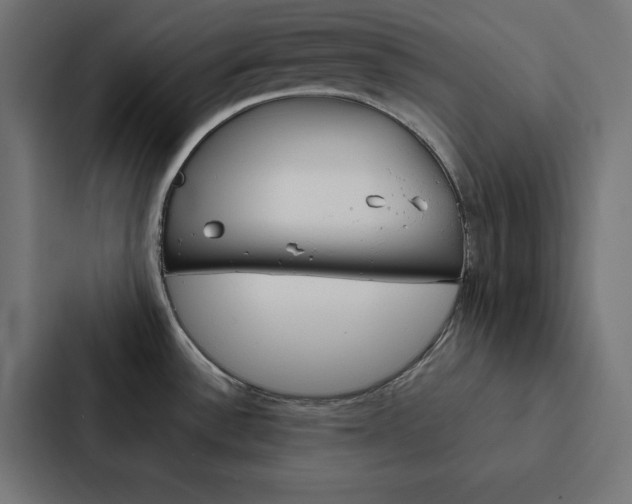X0000088191532200705150949