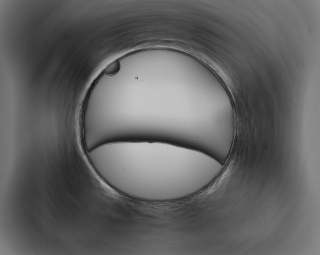 X0000088191533200705150949