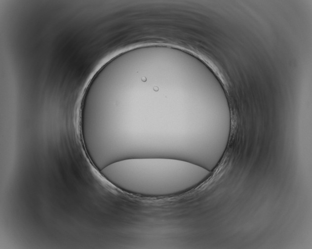 X0000088191535200705150949