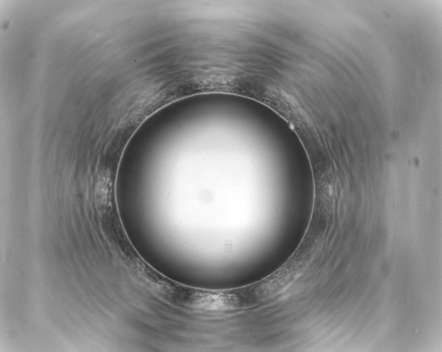 X0000088190083200705151255