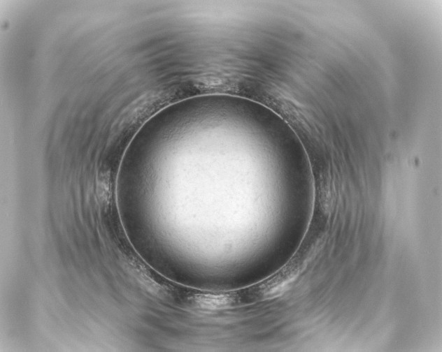 X0000088190085200705151255