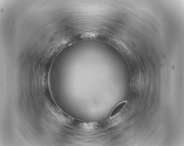 X0000088190134200705151254