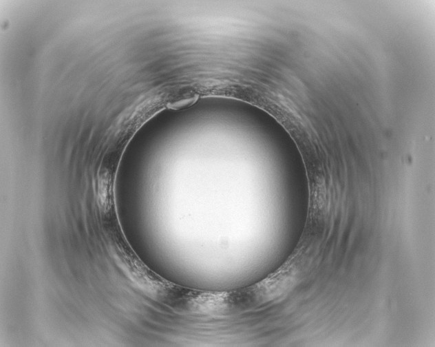 X0000088190138200705151254