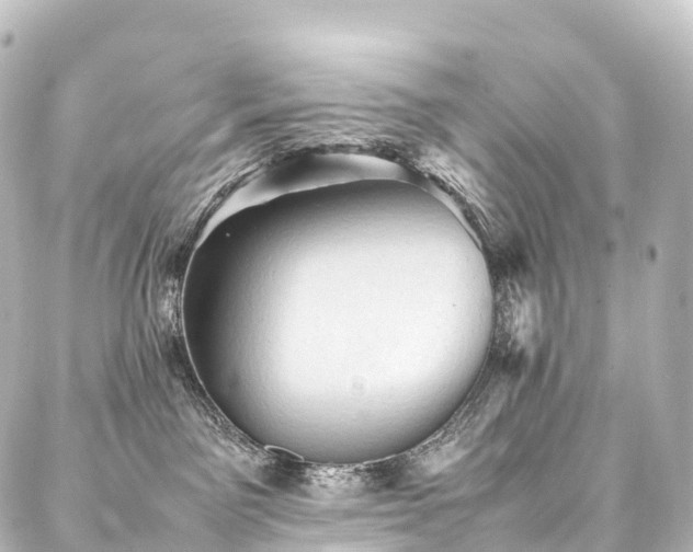 X0000088190141200705151254