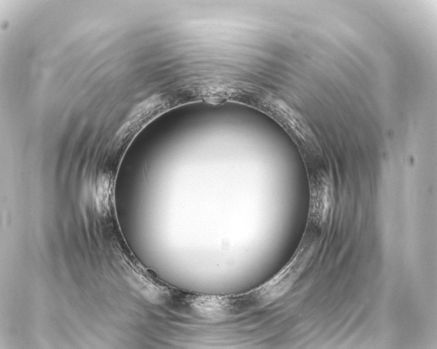 X0000088190142200705151254