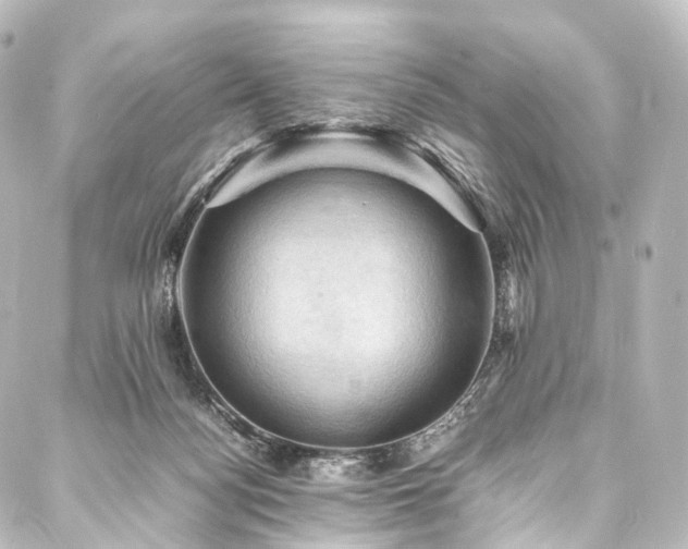 X0000088190172200705151254