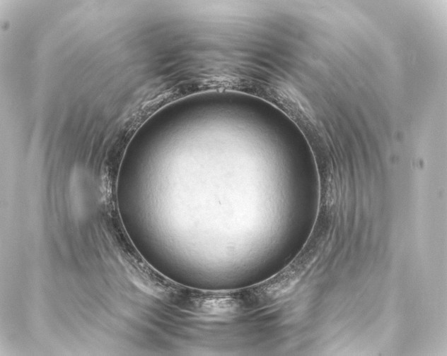 X0000088190173200705151254