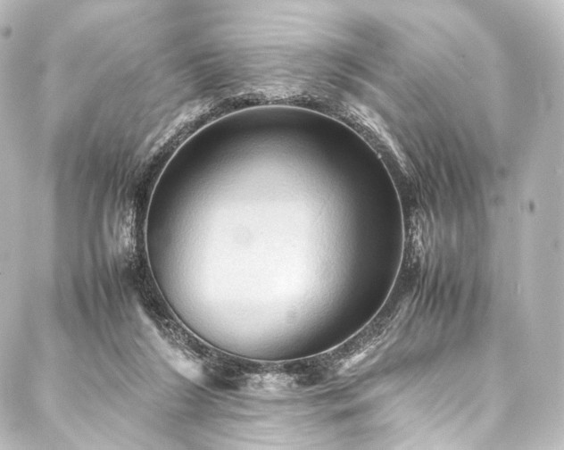 X0000088190212200705151253