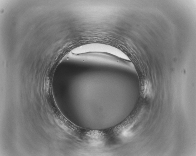 X0000088190231200705151253