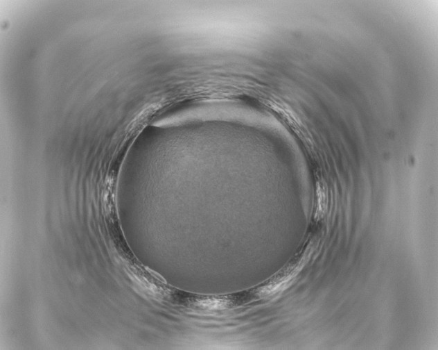 X0000088190237200705151252