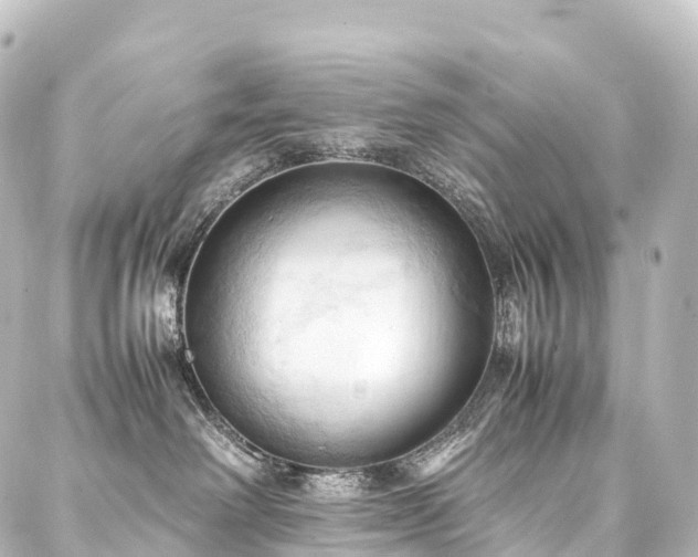 X0000088190238200705151252