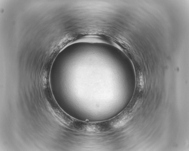 X0000088190264200705151252