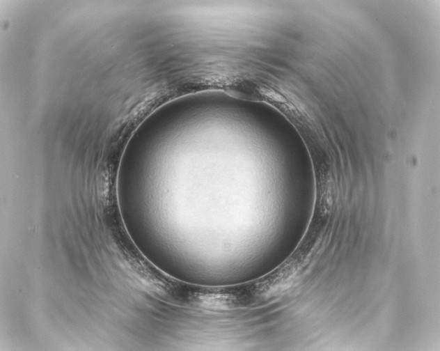 X0000088190268200705151252