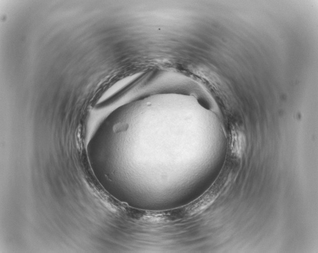 X0000088190280200705151252