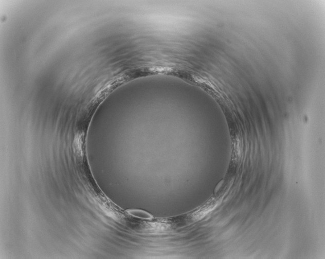 X0000088190286200705151252