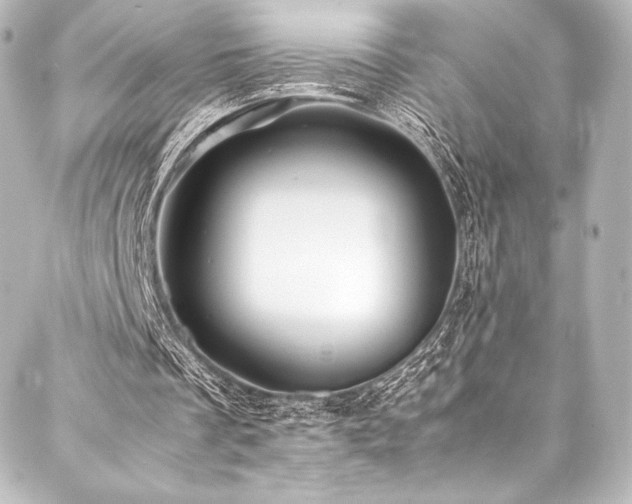 X0000088190289200705151252