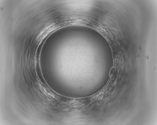 X0000088190290200705151252