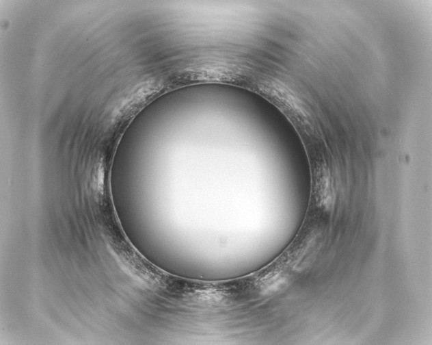 X0000088190310200705151251