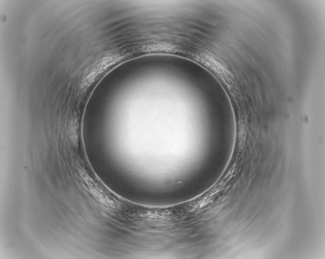 X0000088190345200705151250