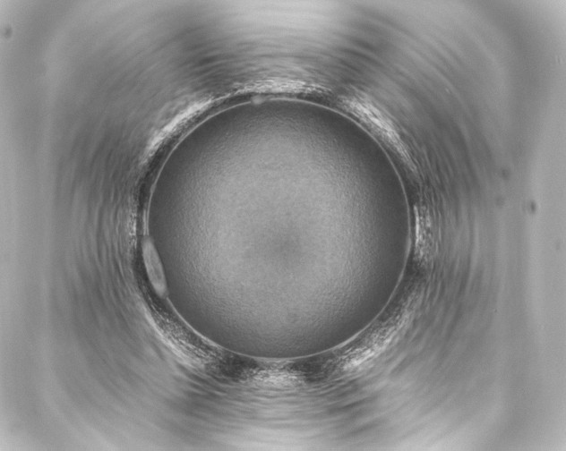 X0000088190348200705151250