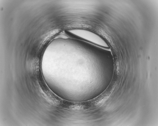 X0000088190356200705151250
