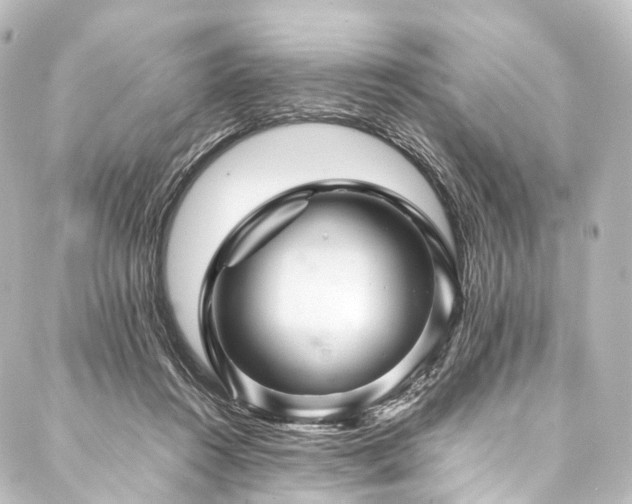 X0000088190360200705151250