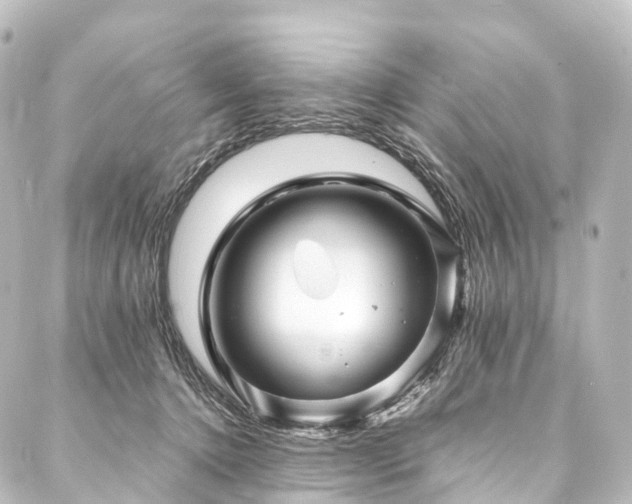 X0000088190368200705151251