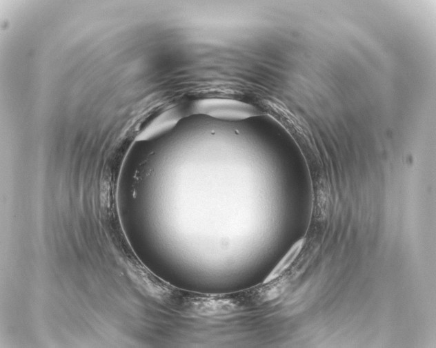 X0000088190379200705151251